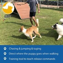 CF Pack - Hond Buitenspeelgoed Actief Behendigheid Touw Dog Flirt Pole Flirtpole Toy Tug Tease Wand Non-Bungee Cord Dog Toy For Fun Obedience Training Extandable Toy Honden Speelgoed Hondenspeelgoed Behendigheidspeelgoed -Dierenwinkel 1200x1200 271