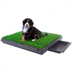 Merkloos Hondentoilet Kunstgras Met Bak - Indoor Dierentoilet - Uitneembare Opvangbak - Puppy Training Pets - Outdoor/Balkon/Tuin/Indoor Toilet - 50x64 Cm -Dierenwinkel 1200x1200 279
