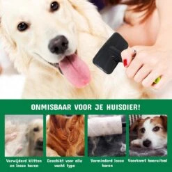 Mister Mill Professionele Set Slicker Honden Kattenborstel Plus Nagelknipper Plus Ondervacht Kam -Dierenwinkel 1200x1200 28