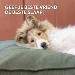 Snoozle Orthopedische Hondenmand - Zacht En Luxe Hondenkussen - Hondenbed - Wasbaar - Hondenmanden - 100 X 70 Cm - Groen -Dierenwinkel 1200x1200 292