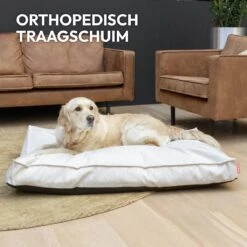 Snoozle Orthopedische Hondenmand - Zacht En Luxe Hondenkussen - Hondenbed - Wasbaar - Hondenmanden - 100 X 70 Cm - Groen -Dierenwinkel 1200x1200 293