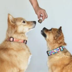 Topdiervoeding Runderlong Hondensnacks - Vers Gedroogd - Knapperig - 1 KG -Dierenwinkel 1200x1200 323