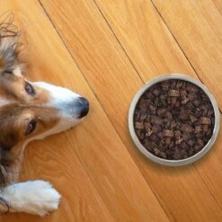 Topdiervoeding Runderlong Hondensnacks - Vers Gedroogd - Knapperig - 1 KG -Dierenwinkel 1200x1200 324