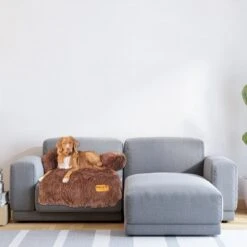 Origineel Hondendeken Voor Bank– Hondenkleed Fluffy – Pluche Hondenbed - Hondenmand Premium - Volledig Afritsbaar -Dierenwinkel 1200x1200 326