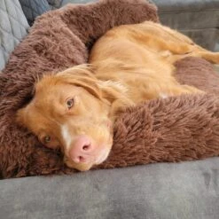 Origineel Hondendeken Voor Bank– Hondenkleed Fluffy – Pluche Hondenbed - Hondenmand Premium - Volledig Afritsbaar -Dierenwinkel 1200x1200 329