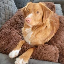 Origineel Hondendeken Voor Bank– Hondenkleed Fluffy – Pluche Hondenbed - Hondenmand Premium - Volledig Afritsbaar -Dierenwinkel 1200x1200 331