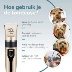 BYER Professionele Dieren Tondeuse Set - Voor Huisdieren Katten & Honden - Draadloos - Oplaadbare Pet Trimmer - Dog Tondeuze Clipper - 5 Standen & Vier Opzetkammen - Low Noise -Dierenwinkel 1200x1200 334