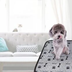 Jooba Puppy Training Pads - Wasbare Puppy Pads 2 Stuks - Hondentoilet - 70x50cm - Puppy -Dierenwinkel 1200x1200 341