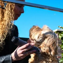 Clipr Ultimate 2-speed Hondentondeuse Op Accu -Dierenwinkel 1200x1200 346