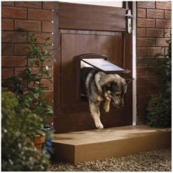 Petsafe 757 Hondenluik - Medium - Zilver/Tranparant -Dierenwinkel 1200x1200 377