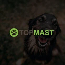 Merkloos Topmast Premium Puppyren - 120 Cm Hoog - 640 Cm Omtrek - Hondenren - Hondenhok - Zwart -Dierenwinkel 1200x1200 379