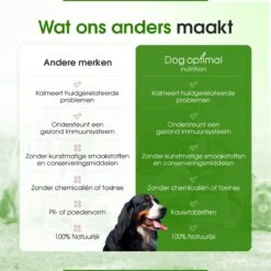 DOG OPTIMAL ANTI ALLERGY SUPPORT 120 Stuks - Allergie - Honden - Hondensnacks - Hondenkoekjes - Hondensupplementen - Honden - Puppy - Hondenvoeding - Weerstand - Jeuk-hond - Jeuk -Dierenwinkel 1200x1200 383