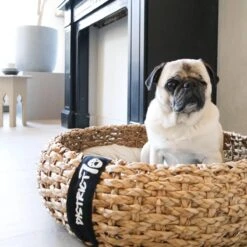 District 70 COCOON - Luxe Hondenmand Van Duurzaam Hoogwaardig Riet Met Zacht Kussen - Maten S/M/L - Large 23 District 70 COCOON - Luxe Hondenmand Van Duurzaam Hoogwaardig Riet Met Zacht Kussen - Maten S/M/L - Large -Dierenwinkel 1200x1200 389