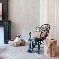 District 70 COCOON - Luxe Hondenmand Van Duurzaam Hoogwaardig Riet Met Zacht Kussen - Maten S/M/L - Large 24 District 70 COCOON - Luxe Hondenmand Van Duurzaam Hoogwaardig Riet Met Zacht Kussen - Maten S/M/L - Large -Dierenwinkel 1200x1200 390