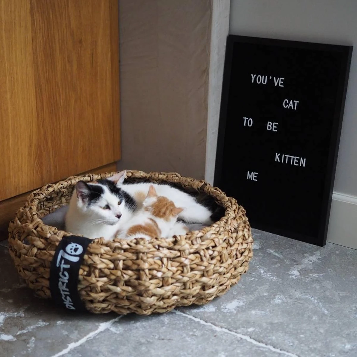 District 70 COCOON - Luxe Hondenmand Van Duurzaam Hoogwaardig Riet Met Zacht Kussen - Maten S/M/L - Large 9 District 70 COCOON - Luxe Hondenmand Van Duurzaam Hoogwaardig Riet Met Zacht Kussen - Maten S/M/L - Large - Afbeelding 7