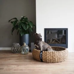 District 70 COCOON - Luxe Hondenmand Van Duurzaam Hoogwaardig Riet Met Zacht Kussen - Maten S/M/L - Large 29 District 70 COCOON - Luxe Hondenmand Van Duurzaam Hoogwaardig Riet Met Zacht Kussen - Maten S/M/L - Large -Dierenwinkel 1200x1200 395