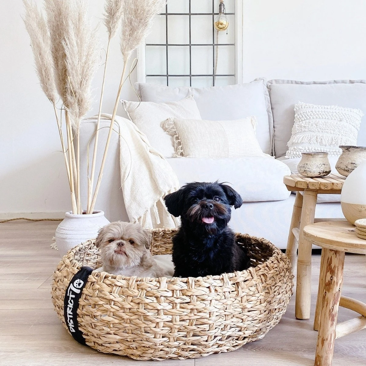 District 70 COCOON - Luxe Hondenmand Van Duurzaam Hoogwaardig Riet Met Zacht Kussen - Maten S/M/L - Large 13 District 70 COCOON - Luxe Hondenmand Van Duurzaam Hoogwaardig Riet Met Zacht Kussen - Maten S/M/L - Large - Afbeelding 11