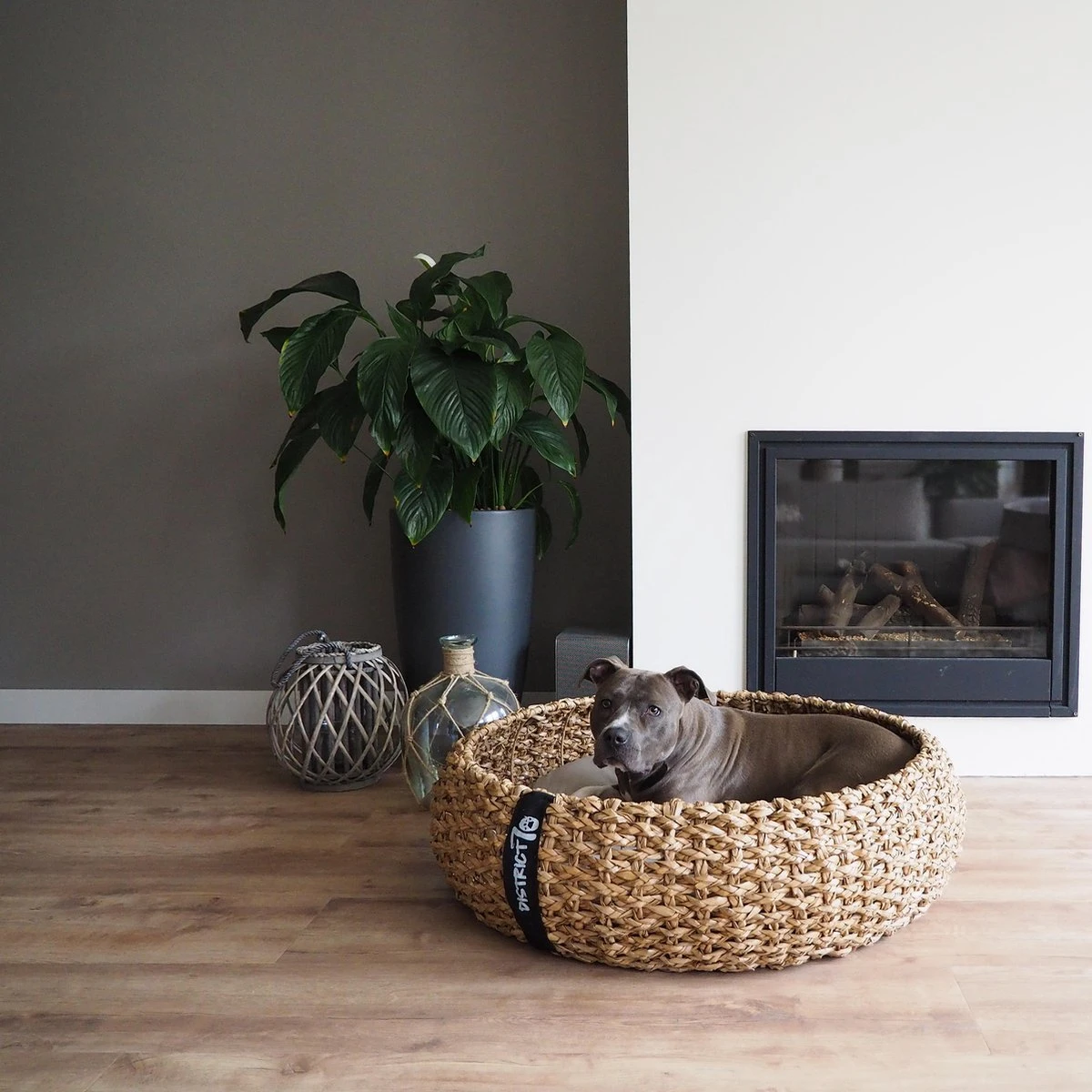 District 70 COCOON - Luxe Hondenmand Van Duurzaam Hoogwaardig Riet Met Zacht Kussen - Maten S/M/L - Large 15 District 70 COCOON - Luxe Hondenmand Van Duurzaam Hoogwaardig Riet Met Zacht Kussen - Maten S/M/L - Large - Afbeelding 13