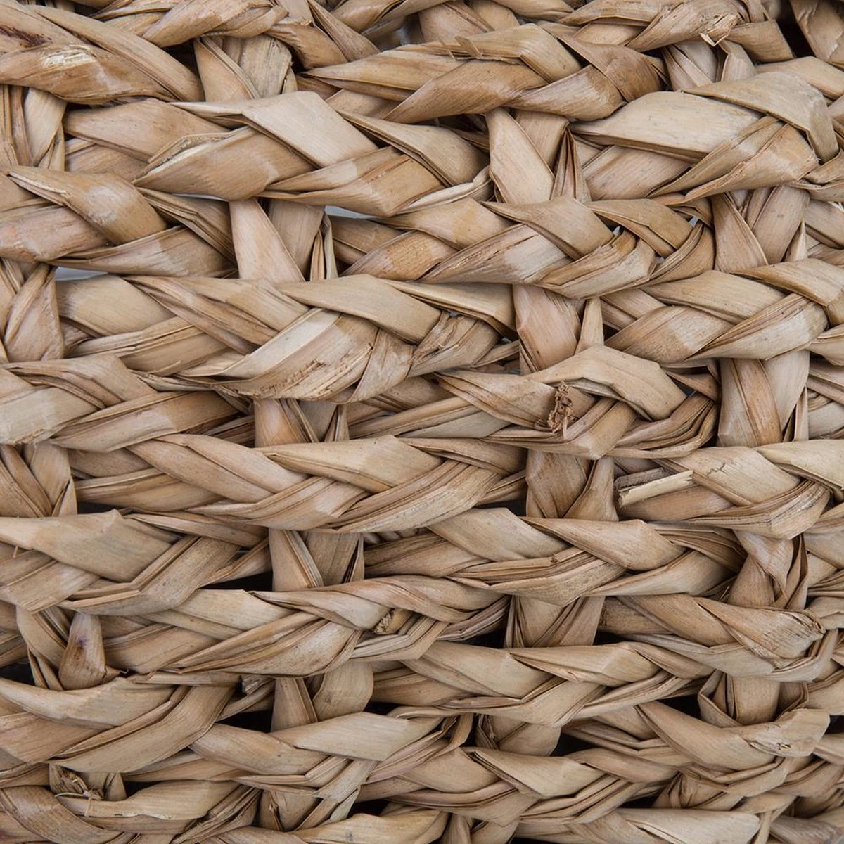 District 70 COCOON - Luxe Hondenmand Van Duurzaam Hoogwaardig Riet Met Zacht Kussen - Maten S/M/L - Large 16 District 70 COCOON - Luxe Hondenmand Van Duurzaam Hoogwaardig Riet Met Zacht Kussen - Maten S/M/L - Large - Afbeelding 14