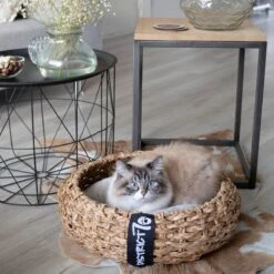 District 70 COCOON - Luxe Hondenmand Van Duurzaam Hoogwaardig Riet Met Zacht Kussen - Maten S/M/L - Large 36 District 70 COCOON - Luxe Hondenmand Van Duurzaam Hoogwaardig Riet Met Zacht Kussen - Maten S/M/L - Large -Dierenwinkel 1200x1200 400