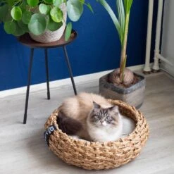 District 70 COCOON - Luxe Hondenmand Van Duurzaam Hoogwaardig Riet Met Zacht Kussen - Maten S/M/L - Large 37 District 70 COCOON - Luxe Hondenmand Van Duurzaam Hoogwaardig Riet Met Zacht Kussen - Maten S/M/L - Large -Dierenwinkel 1200x1200 401