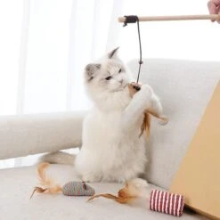 GIZMO Luxe Kattenspeeltjes Set - 7 Speeltjes - Interactieve Kattenhengel, Kattenspeelgoed & Speelmuisjes - Kitten Speeltjes -Dierenwinkel 1200x1200 410