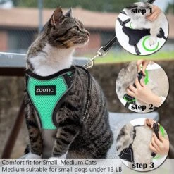 Kattentuigje Met Leiband Riem Kattenharnas Groen Maat M Kat & Kitten - Dieren Kattenriem - Cat Leash - Halsomvang 20 Tot 26cm - Borstomvang 30 Tot 34cm - Zootic® 11 Kattentuigje Met Leiband Riem Kattenharnas Groen Maat M Kat & Kitten - Dieren Kattenriem - Cat Leash - Halsomvang 20 Tot 26cm - Borstomvang 30 Tot 34cm - Zootic® -Dierenwinkel 1200x1200 420