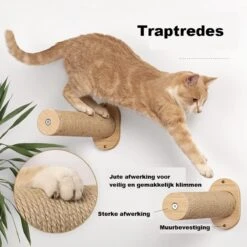 Klimmuur Kat XXL Editie - Krabpaal - Katten Klimmuur - Katten Klim Wand - Met Hangmat 22 Klimmuur Kat XXL Editie - Krabpaal - Katten Klimmuur - Katten Klim Wand - Met Hangmat -Dierenwinkel 1200x1200 428