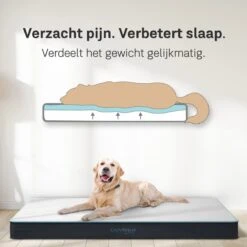 CozySense® - Orthopedisch Hondenkussen - Hondenkussen 60 X 40 Cm - Ook Geschikt Als Benchkussen & Hondenbed - Hondenkussen Bank - Traagschuim - Waterdicht - Wasbare Hoes - Maat S -Dierenwinkel 1200x1200 43