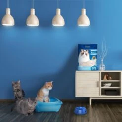 Nobleza 48REM - Tofu Kattenbakvulling - Snel Absorberend - 3.8 L - Klontvormend - 2 Kg -Dierenwinkel 1200x1200 459