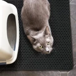 Merkloos Tastelio XXL Kattenbakmat 75x55cm - Groot Kattenbak Mat Met Innovatieve Honingraatstructuur - Dubbele Waterdichte Laag - Katten Bak Mat Met Eenvoudige Reiniging Grit Opvanger -Dierenwinkel 1200x1200 475