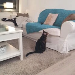 HG Tegen Urine Geur - 500 Ml - Effectief En Snel Resultaat - Neemt De Geur Definitief Weg -Dierenwinkel 1200x1200 477