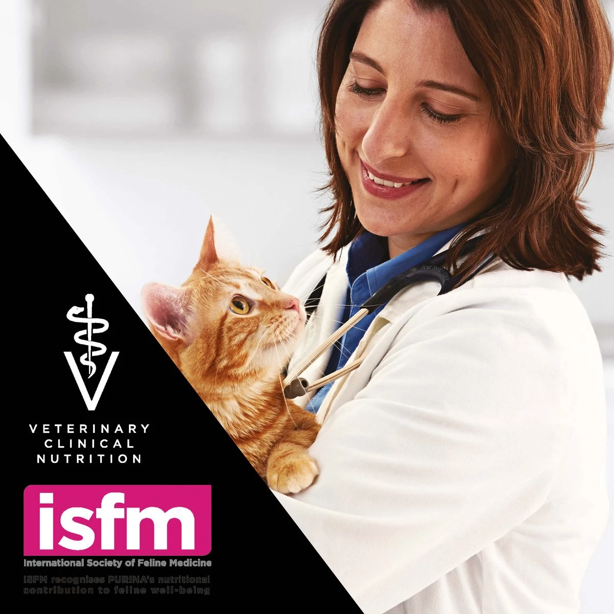 Purina One Purina Pro Plan Veterinary Diets - Fortiflora Kat - Probiotic - 30 X 1 Gram 8 Purina One Purina Pro Plan Veterinary Diets - Fortiflora Kat - Probiotic - 30 X 1 Gram - Afbeelding 6