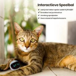 Otiume Interactieve Speelbal - Slimme Interactieve Jaag Speeltje Voor Katten - Kattenspeeltjes - Intelligente Jaagbal - AI -USB Oplaadbaar - LED - Blauw -Dierenwinkel 1200x1200 531