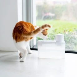 Hoopo® Agua - DRAADLOZE Waterfontein Katten - SMART Waterfontein Katten - UVC Disinfectie - 2 Liter - Automatische Katten Fontein 14 Hoopo® Agua - DRAADLOZE Waterfontein Katten - SMART Waterfontein Katten - UVC Disinfectie - 2 Liter - Automatische Katten Fontein -Dierenwinkel 1200x1200 544