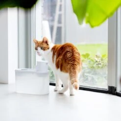 Hoopo® Agua - DRAADLOZE Waterfontein Katten - SMART Waterfontein Katten - UVC Disinfectie - 2 Liter - Automatische Katten Fontein 15 Hoopo® Agua - DRAADLOZE Waterfontein Katten - SMART Waterfontein Katten - UVC Disinfectie - 2 Liter - Automatische Katten Fontein -Dierenwinkel 1200x1200 545