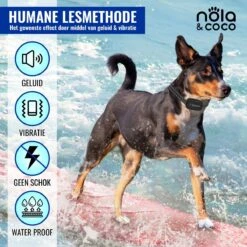Nola & Coco® Oplaadbare Anti Blafband - 4 Kleuren - Zonder Schok - Waterdichte Diervriendelijke Blaf Halsband - Opvoedingshalsband - Voor Grote En Kleine Honden - Lichte Vibratie En Geluid - 3 Tot 60kg -Dierenwinkel 1200x1200 63