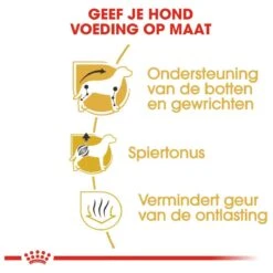 Royal Canin Dachshund/Teckel Adult 7.5 KG -Dierenwinkel 1200x1200 82