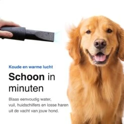 Vivid Green Waterblazer Met 3 Opzetstukken - Hondenfohn - Voor Honden - Met Geluiddemper - 2800W -Dierenwinkel 1200x1200 99