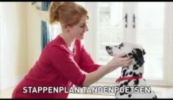 Beaphar Tandenborstel 12 Beaphar Tandenborstel -Dierenwinkel 1200x697