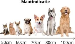 Behave Donut Hondenmand - Hondenkussen - Hondenbed - Kattenmand - Fluffy - Donut - 50cm - Beige -Dierenwinkel 1200x706