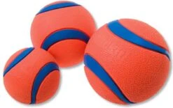 Chuckit! 10 Chuckit Ballen In Emmer - Chuckit - Veilig Voor Gebit - Hondenbal - Past In Werpstok -Dierenwinkel 1200x751 1