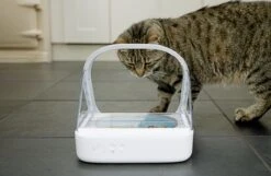 Surefeed Microchip Pet Feeder - Voerbak - 30 X 23 X 22 Cm -Dierenwinkel 1200x780 3