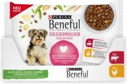 Beneful Pouch - Hondenvoer Kip & Rund In Saus - 40 X 100 G -Dierenwinkel 1200x796