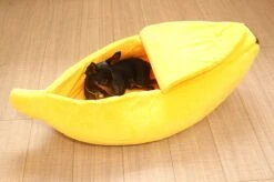 N/A Kattenhuis Banaan L - Hondenhuis Banaan L - 65x25x18 Cm - Kattenmand - Hondenmand - Dierenmand - Cadeau Kat 10 N/A Kattenhuis Banaan L - Hondenhuis Banaan L - 65x25x18 Cm - Kattenmand - Hondenmand - Dierenmand - Cadeau Kat -Dierenwinkel 1200x799 10