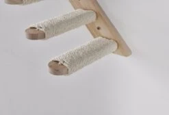 Klimmuur Kat XXL Editie - Krabpaal - Katten Klimmuur - Katten Klim Wand - Met Hangmat 17 Klimmuur Kat XXL Editie - Krabpaal - Katten Klimmuur - Katten Klim Wand - Met Hangmat -Dierenwinkel 1200x817