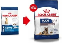 Royal Canin Maxi Ageing 8+ 15 KG 24 Royal Canin Maxi Ageing 8+ 15 KG -Dierenwinkel 1200x836