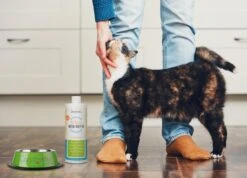 OxyFresh Pet Mondwater Hond En Kat. Helpt Tegen Tandsteen, Plak En Vieze Ademgeurtjes -Dierenwinkel 1200x864