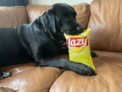 Merkloos Lazy Doggies Krakend Hondenspeelgoed -Dierenwinkel 1200x900 12