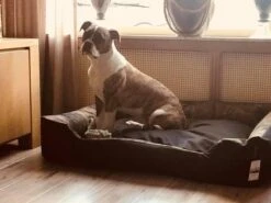 Hondenmand Cordura XXXL – Donkergrijs - 125 X 90 X 24 Cm 15 Hondenmand Cordura XXXL – Donkergrijs - 125 X 90 X 24 Cm -Dierenwinkel 1200x900 16